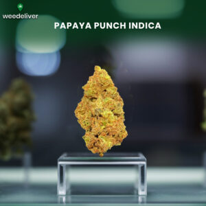 Papaya Punch Indica