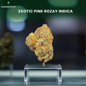 Exotic Pink Rozay indica