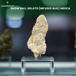 Snow Ball Gelato (Infused Bud) Indica