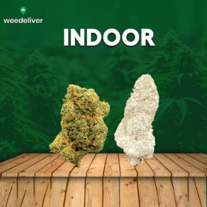 Indoor